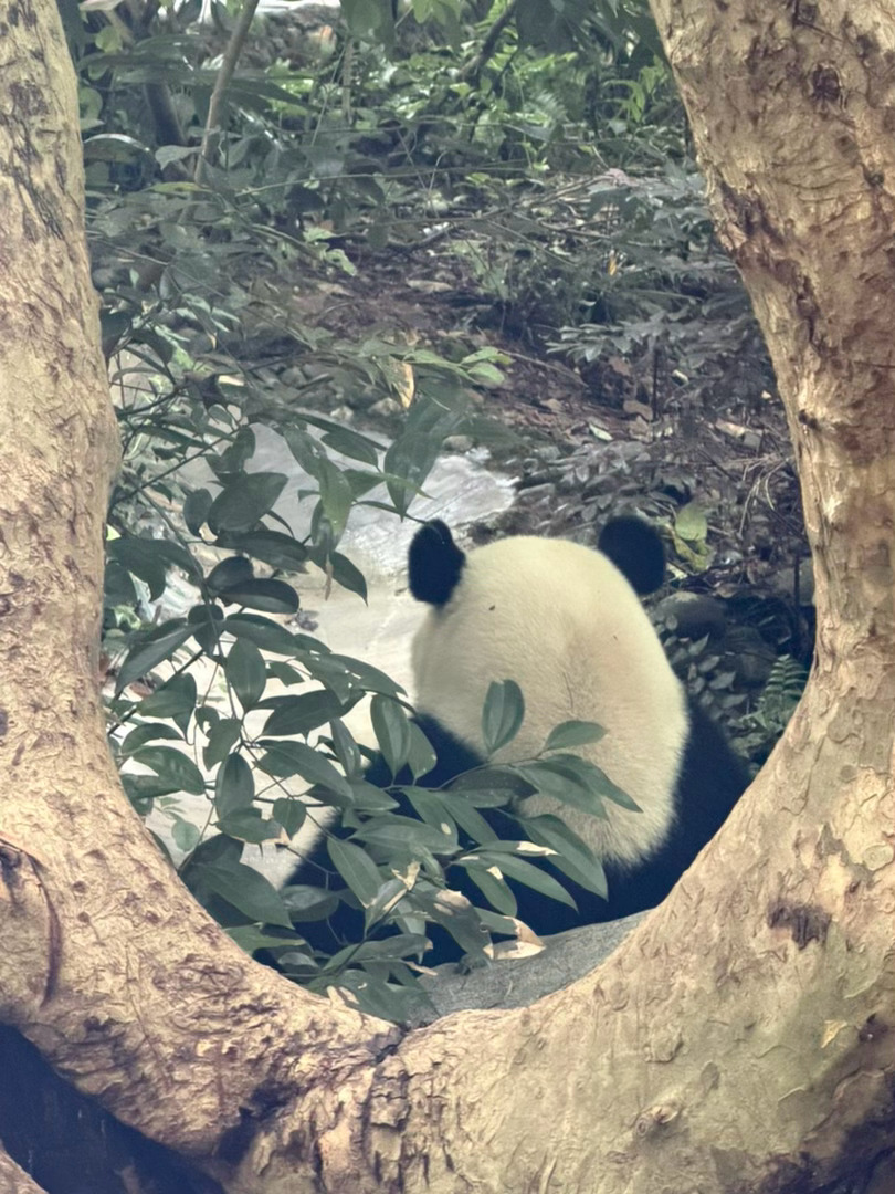 你也会思考熊生吗 