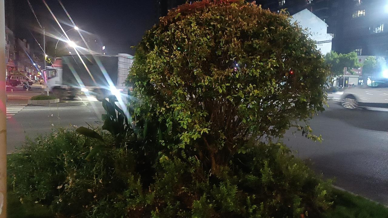 善良，是一束微光，在照亮他人的同时，也温暖了自己的生命。它如同一颗种子，在岁月的