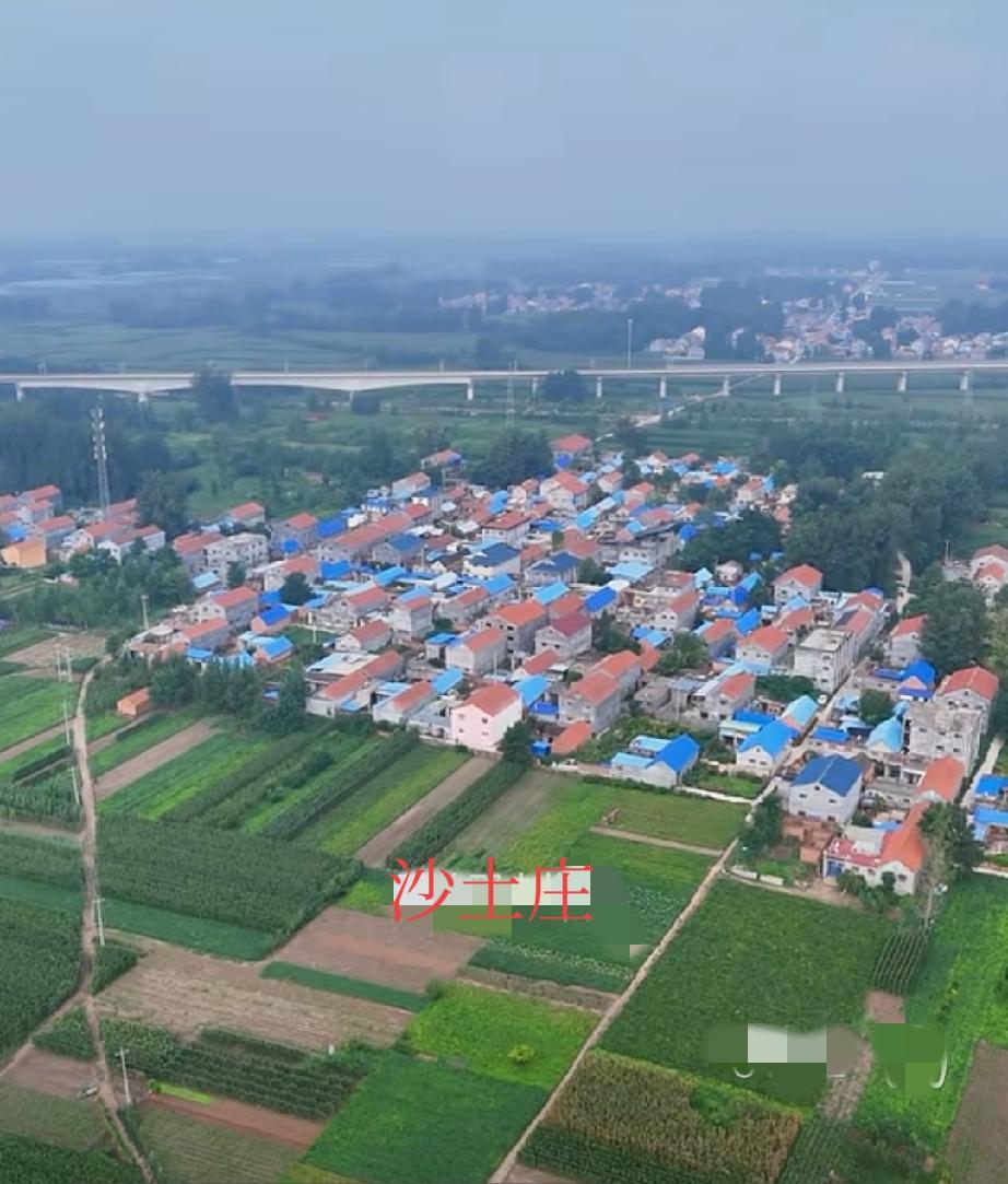 曹县郑庄街道沙土庄