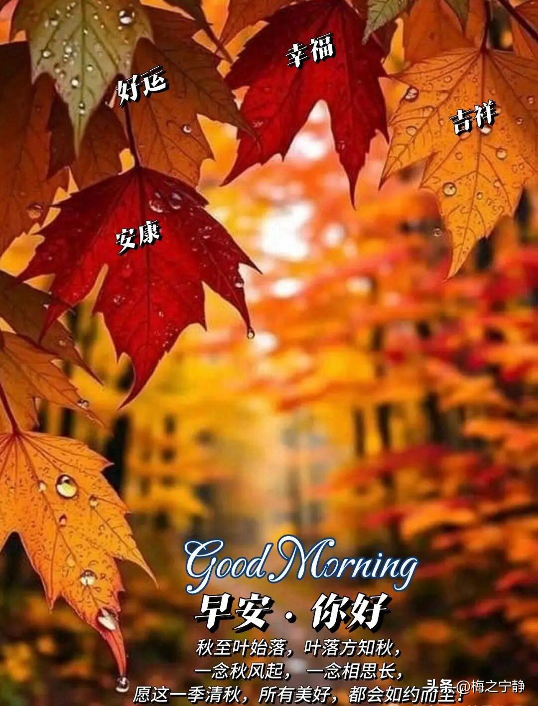 🍂²⁰²⁶/₁₀.₂₀ ᵕ̈ 🌞早安｜一路向暖🌻🌻🌻
晨雾慢慢消散，秋