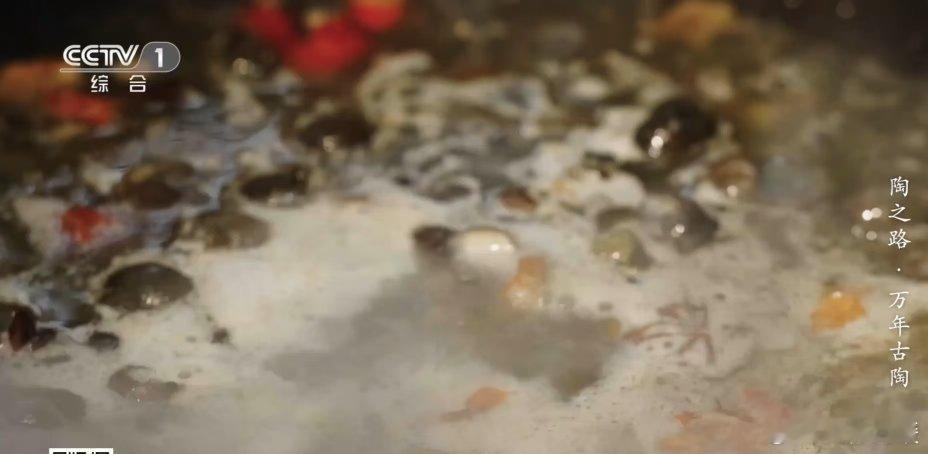 古人吃剩的螺蛳壳变成遗址 你知道吗？湖南与广西的遗址挖出古人吃剩的螺蛳壳。万年前
