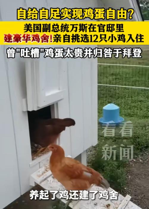炸裂！美媒爆料，副总统万斯在官邸里养了十几只小鸡，还特意安排了维多利亚式的鸡舍。