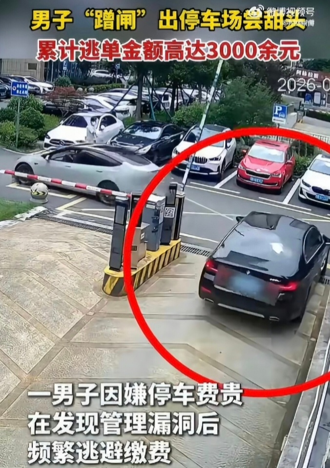 开宝马省停车费，省出个刑事拘留，183次啊，平均一次16块钱。停车场后台：你以为