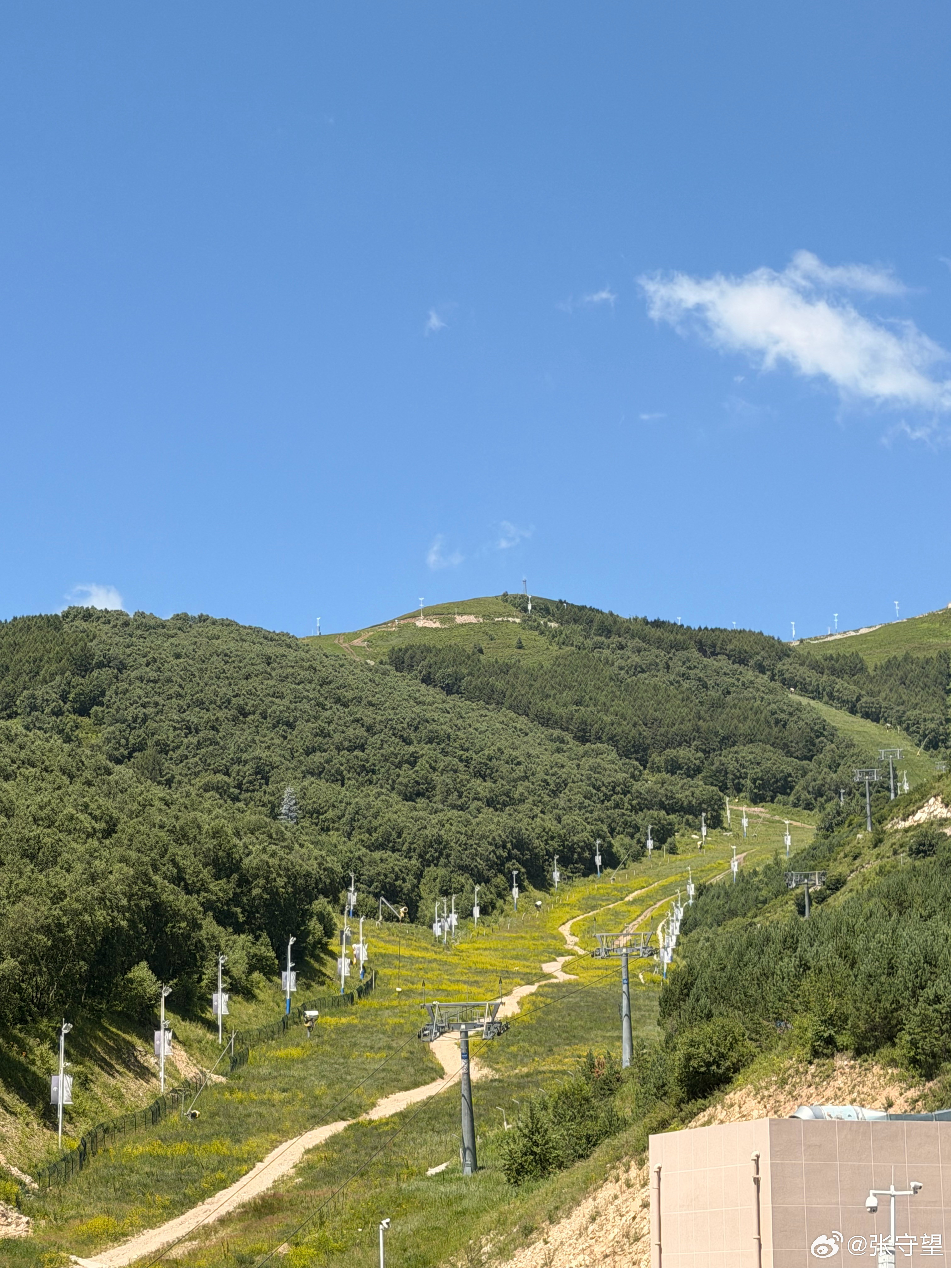 雪道夏天长这样 