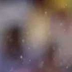 根据《图片报》的最新报道，凯恩很可能缺席本周末对阵弗赖堡的比赛，拜仁希望他能赶上