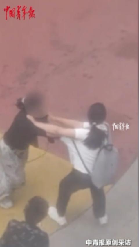 “太恶劣了！”辽宁沈阳，女子在小区遛两条狗不牵绳，一名过路的女子好心提醒她，不料