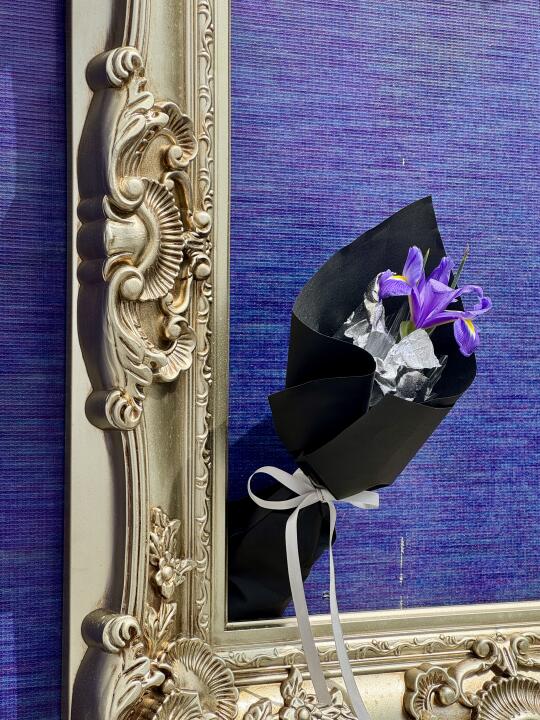 兰州的春日氛围感拉满啦📈