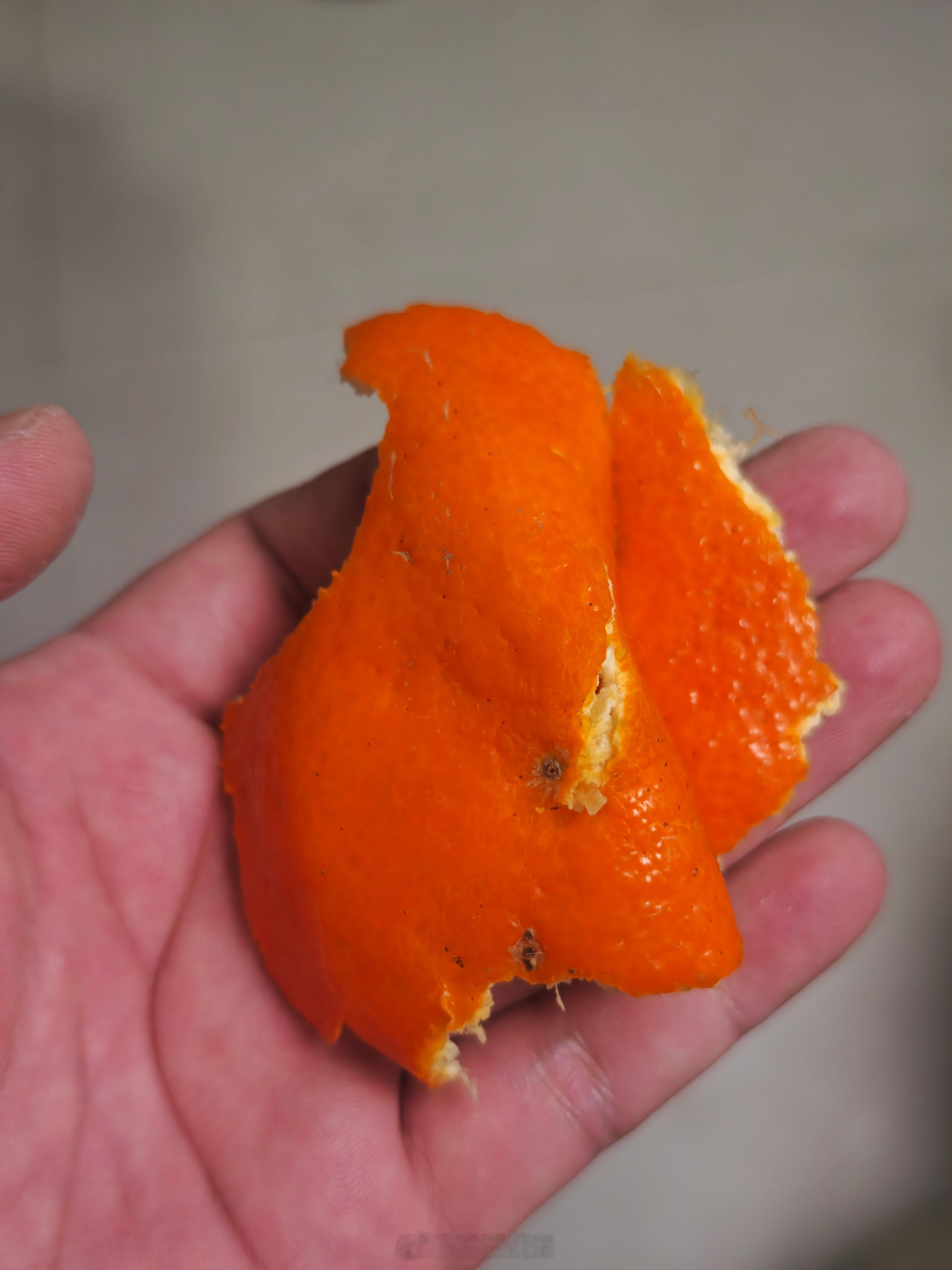 发明洗澡吃橙子的人是个天才 试了，确实汁水比较多，毕竟是开着花洒吃的我是不是被骗