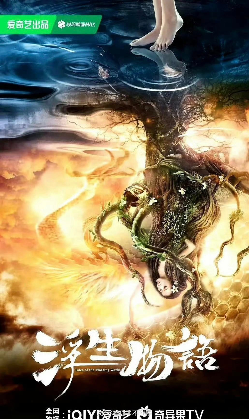 影视🍉《浮生物语》陈哲远，王楚然 