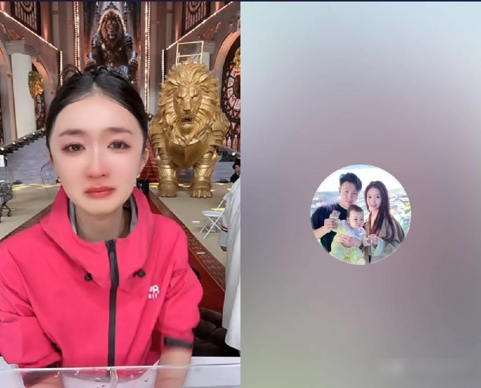 辛巴一句话，亲手拆了徐杰和赵梦澈的CP，还当着几万人面骂“傻帽”。
你还记得吗