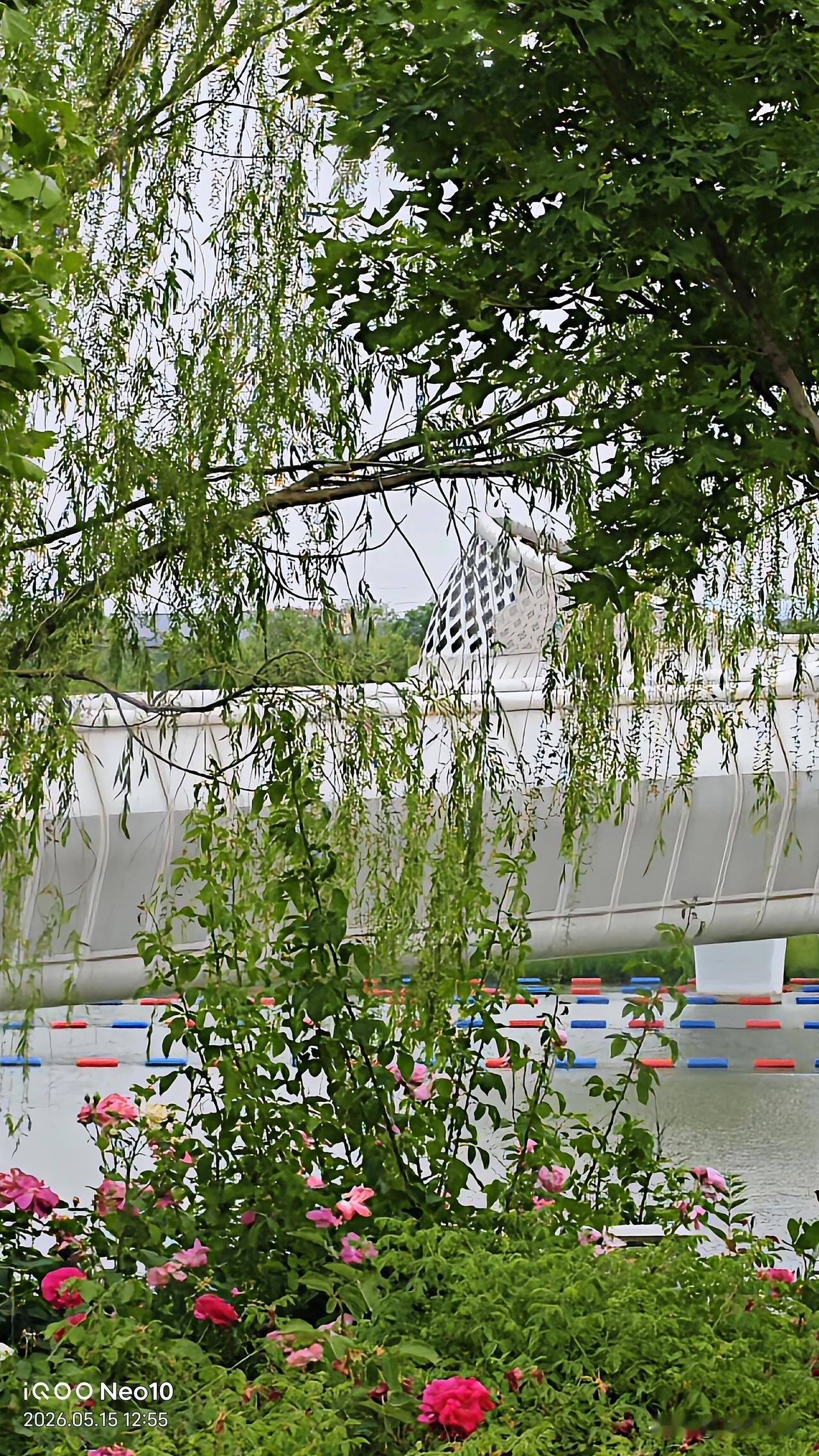1. 阳光正好，绿意正浓，风里已经有了初夏的味道🌿
2. 树荫、繁花、暖阳，是