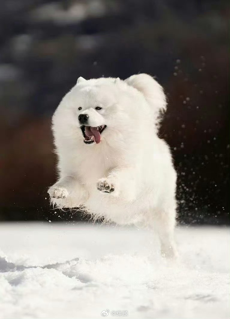 你最期待的好消息正在向你跑来！ 