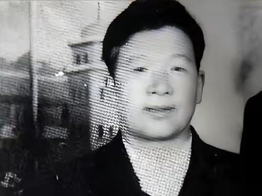 1994年日本遗孤赵连栋回日本后，彻底断联中国养母，重伤瘫痪也不肯回国见一面。
