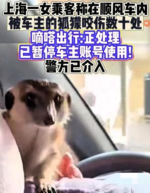 家人们，打车遇“刺客”，你能想象吗？

上海一女子打顺风车，居然碰上司机肩头站着