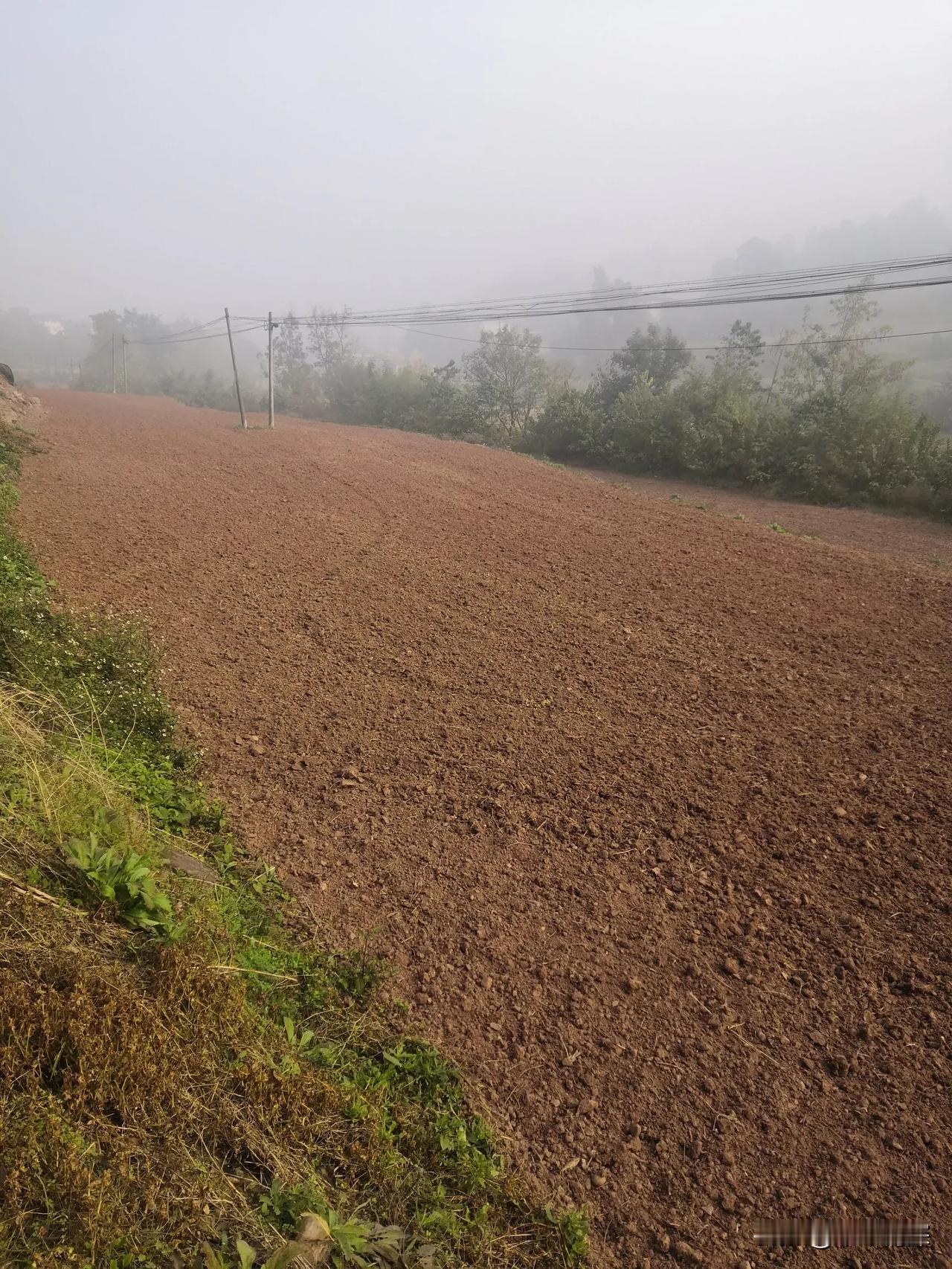 冬日的中江农村，显得更加的美丽神秘，图片中的大土左边有一条乡村公路，很美的农村小