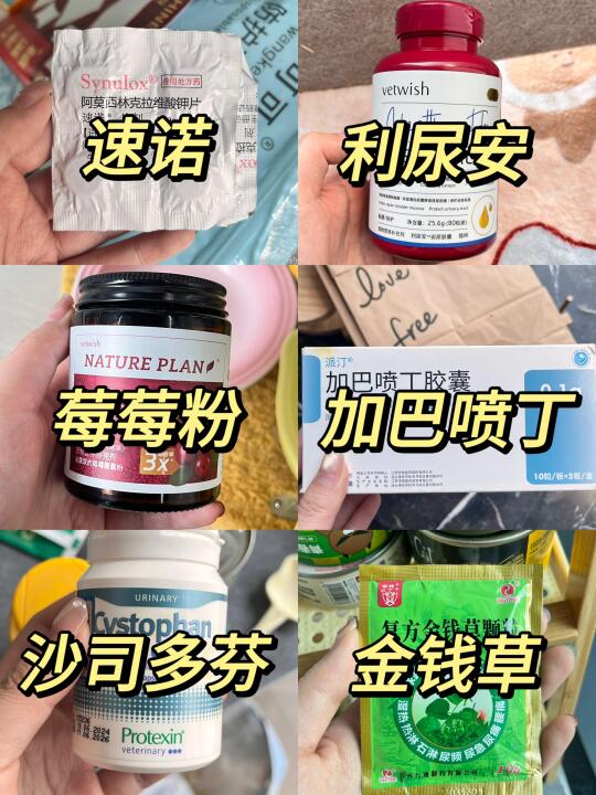 猫尿闭居家处理一定要看这篇！早晚用得上！
