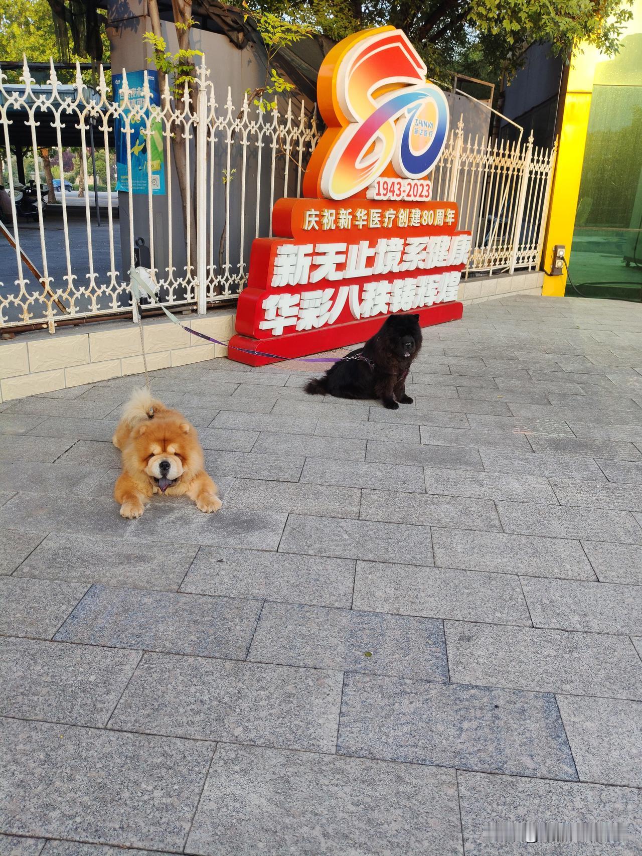 到山东旅游，2026年的八月十五到达了以烧烤闻名全国的淄博，住在淄博的张店区新华