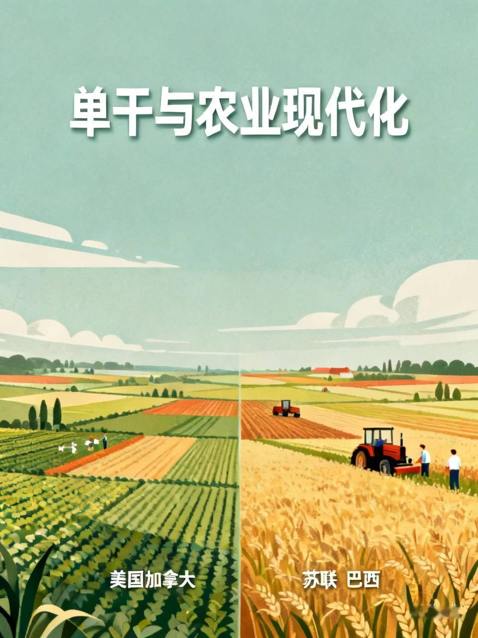 单干能干出农业现代化吗?
世界上农业发达的大国，比如美国、加拿大、巴西等等，种地