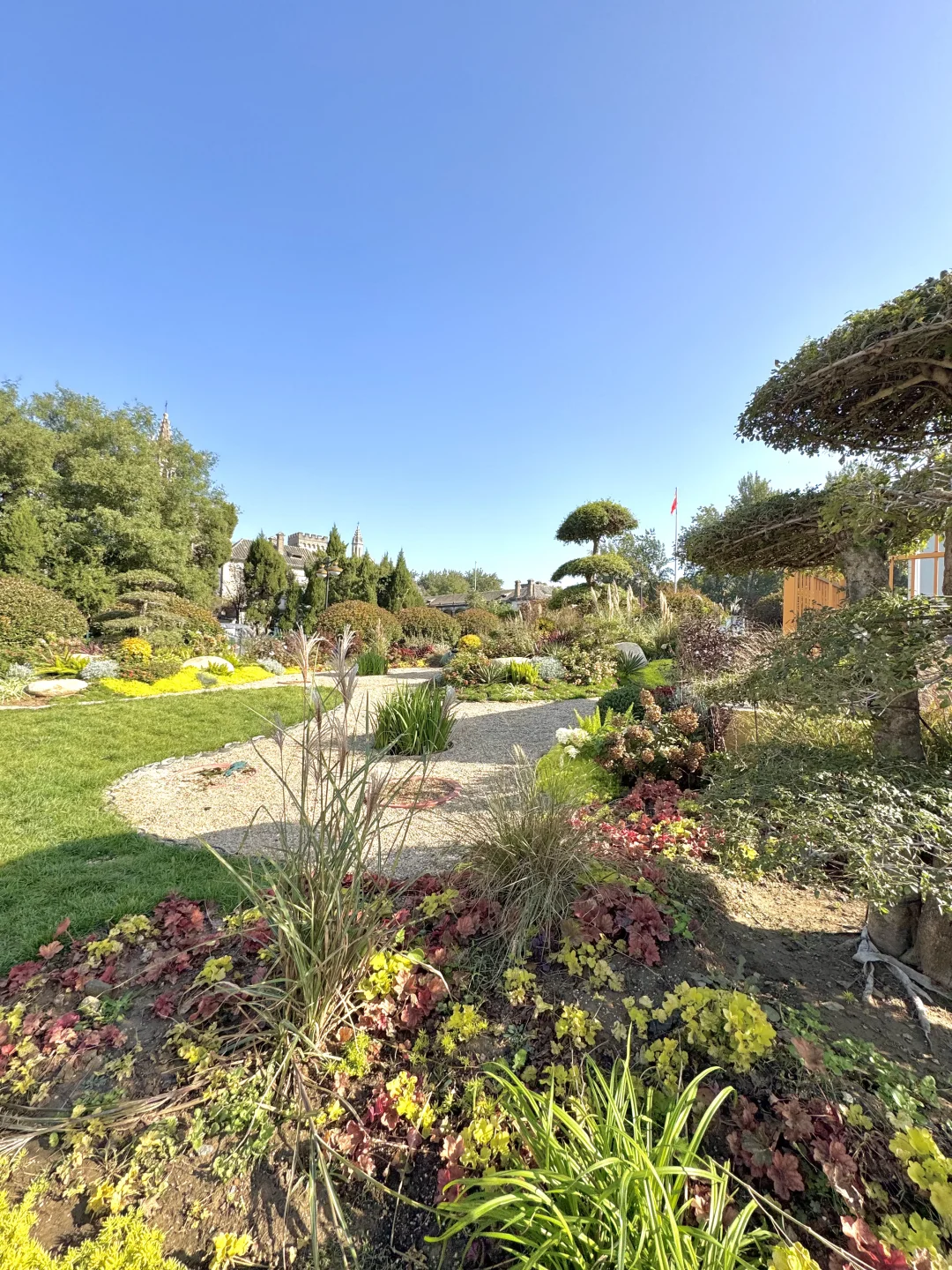 济南洪家楼！也有莫奈花园了🥹🍂（秋日版