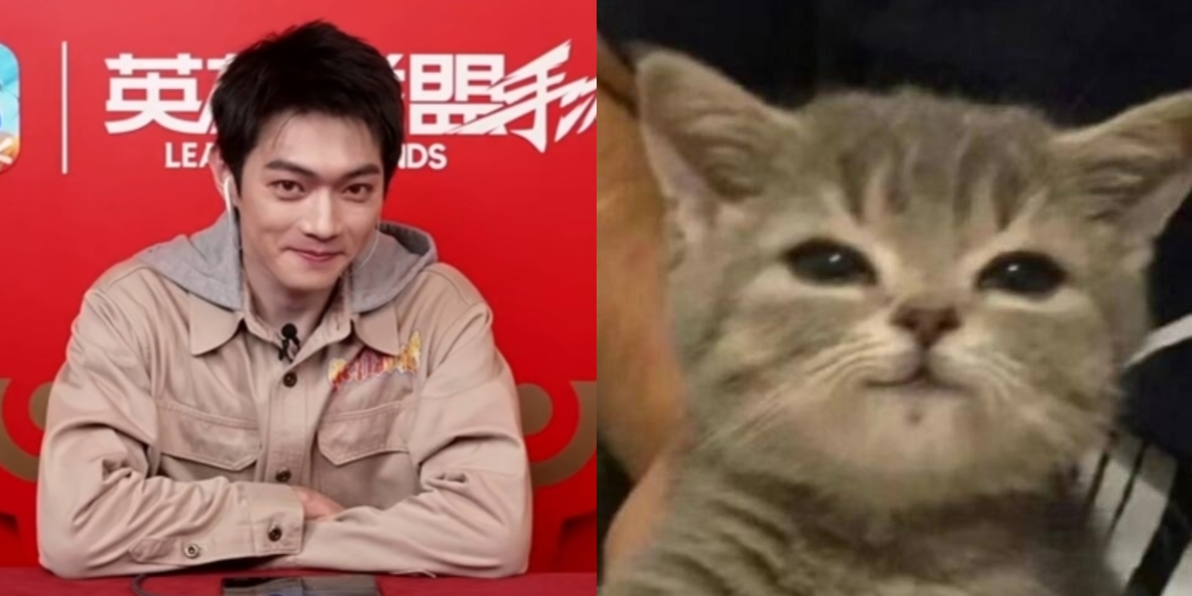 要猫猫so🐈还是🐖猪猪so？ 
