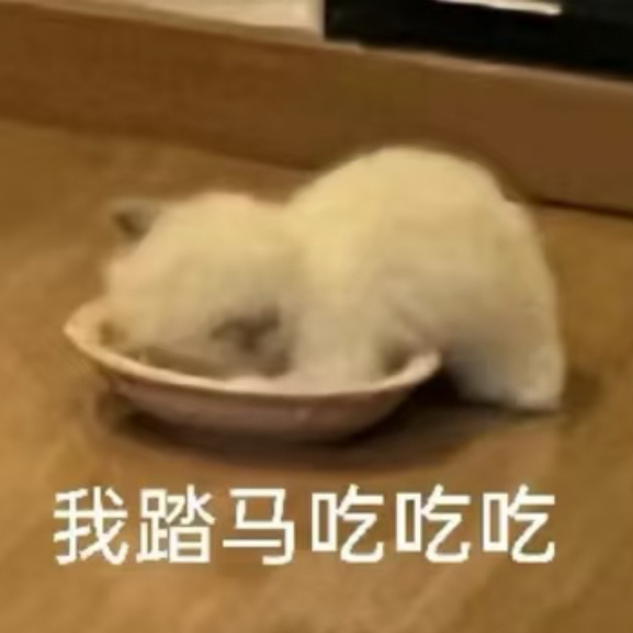 刘涛的☞“愿你永远自由洒脱”欢乐颂2主题曲安迪的☞“此刻的生活～有选择～随心洒脱