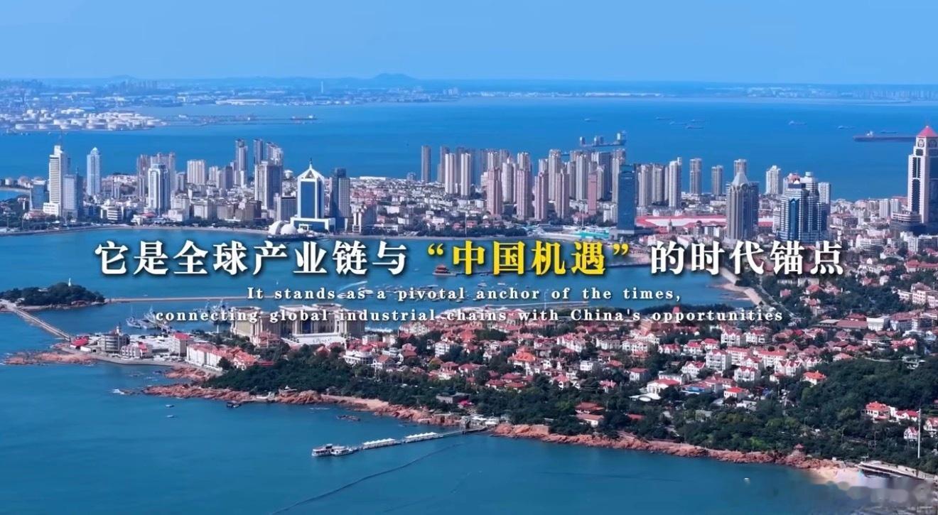 第七届跨国公司领导人青岛峰会于6月15日至17日举行，以携手十五五 向新向未来为