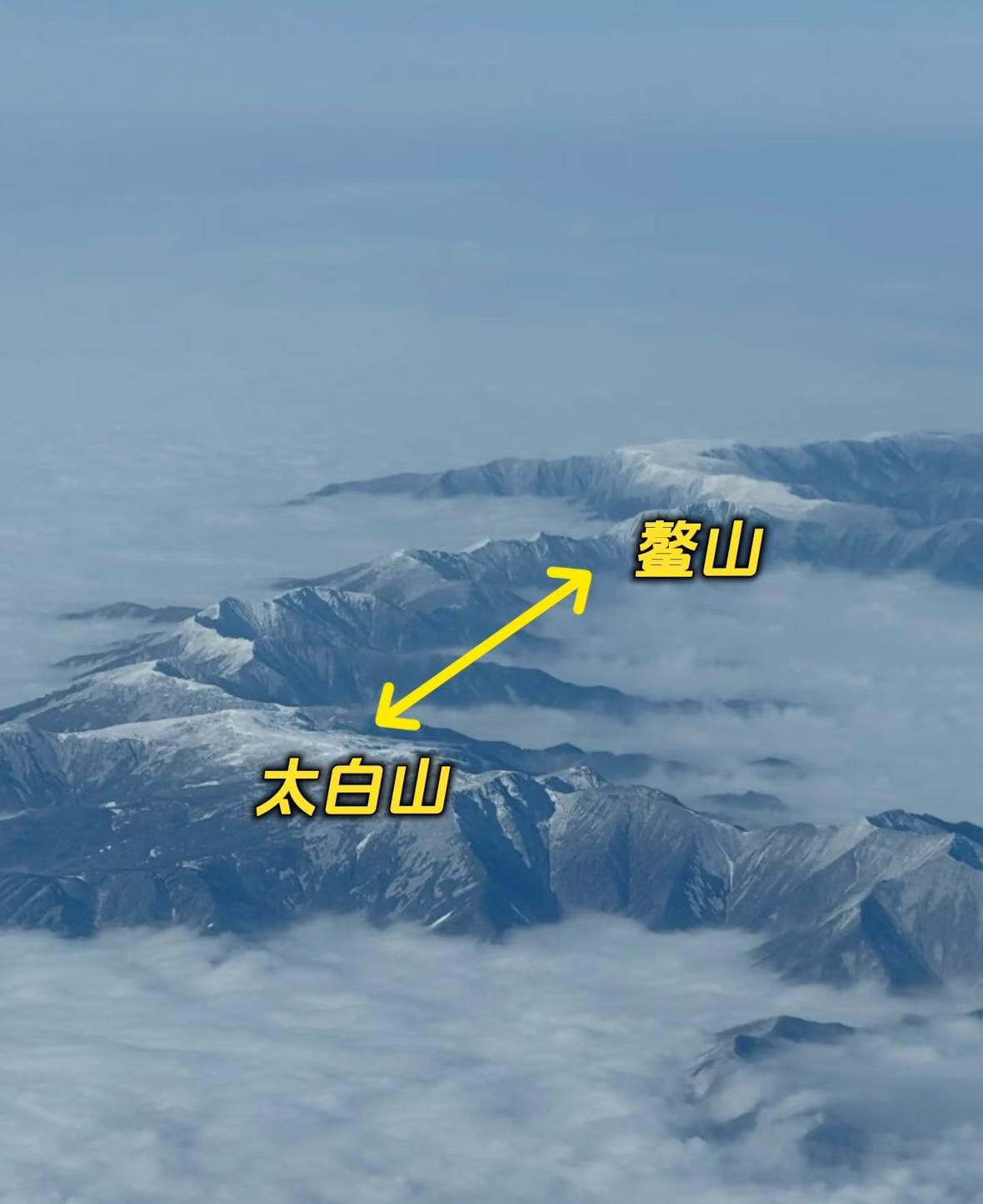 凌晨两点，五个人影贴着黄柏塬的盘山公路，像做贼一样躲开管护站的灯，一头扎进鳌山深