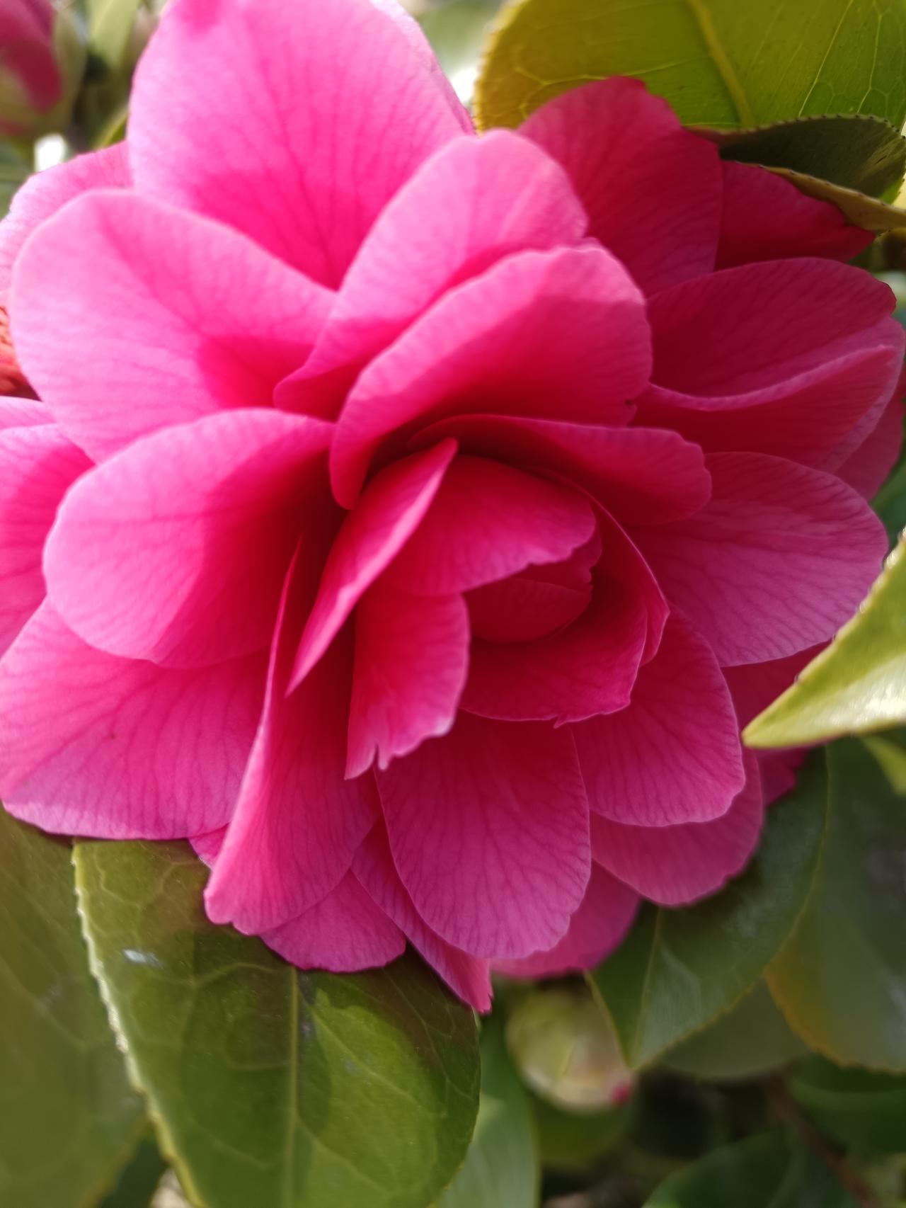 每日分享一句人生感悟