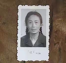 1969年，19岁的女知青黄丽萍，隐瞒自己显赫的身份，心甘情愿的在北大荒劳动。1