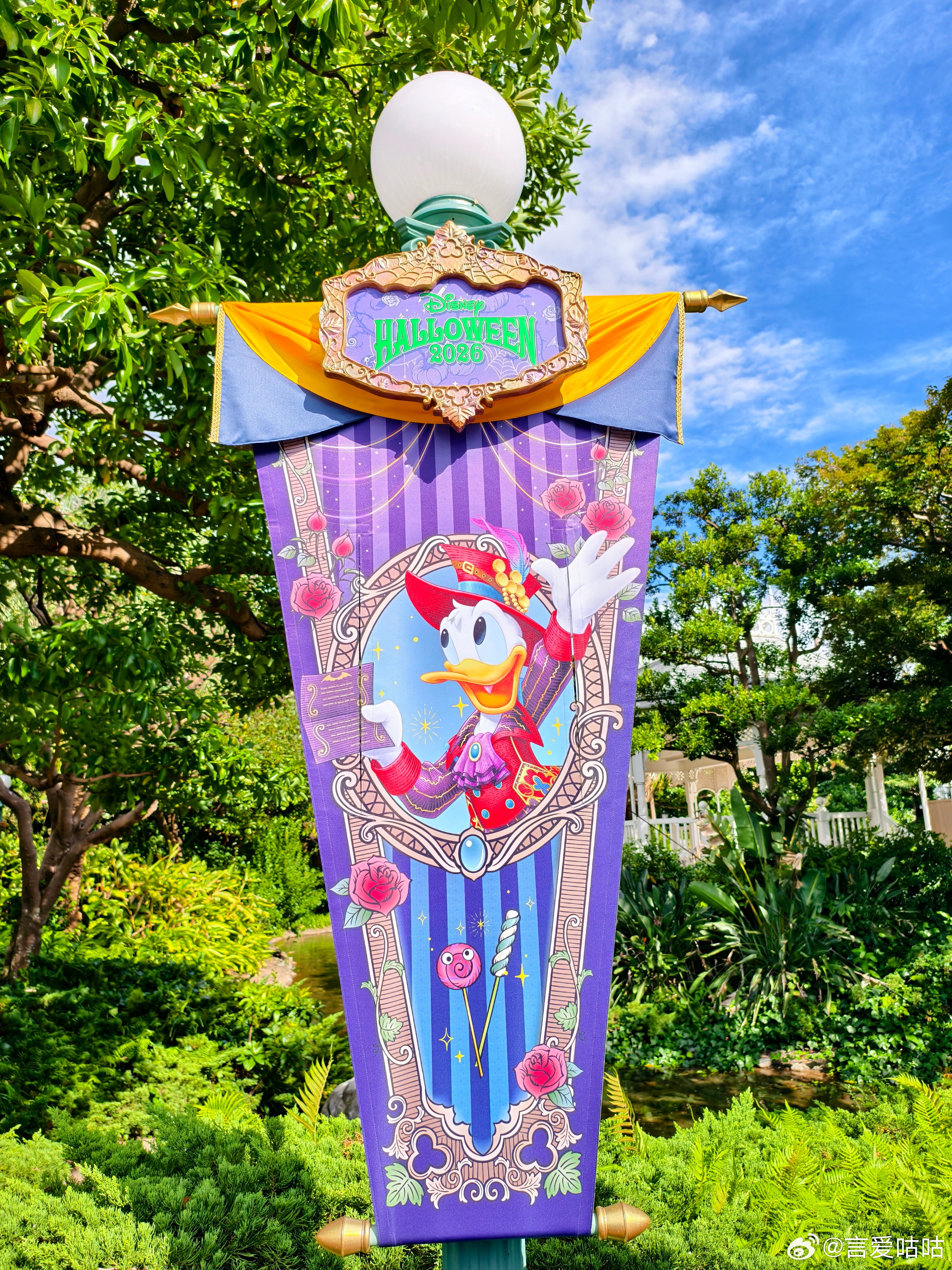 万圣节！东迪今年风很大 日本·Tokyo Disneyland (東京ディズニー