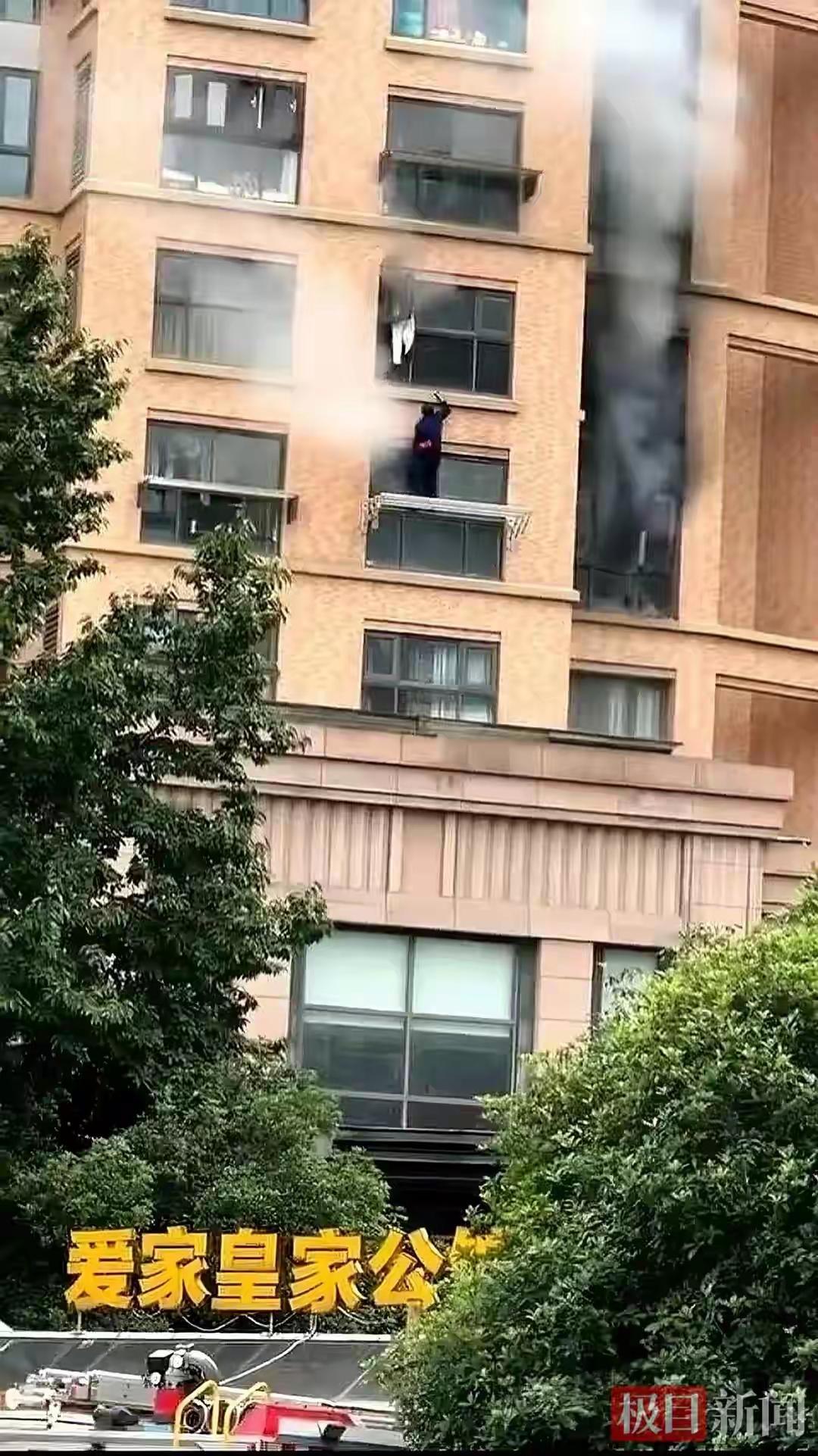 武汉小区突发火情，宠物猫机智救主
5月8日上午，武汉洪山区爱家皇家公馆小区突发火