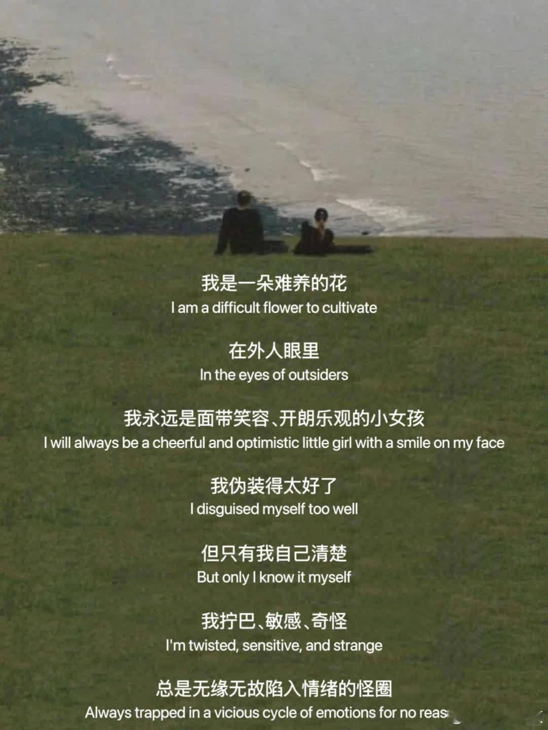 突然就被这段话治愈了  我是一朵难养的花 在外人眼里 我永远是面带笑容 开朗乐观