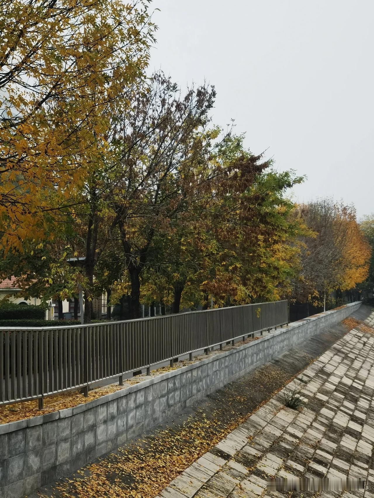 走南闯北乐逍遥
