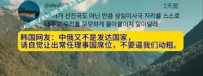 怼的彻底！俄罗斯嘴炮直接把口出狂言的韩国网民轰成了棒棒渣！

近日，一名不知天高