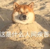 亲心捧影视剧