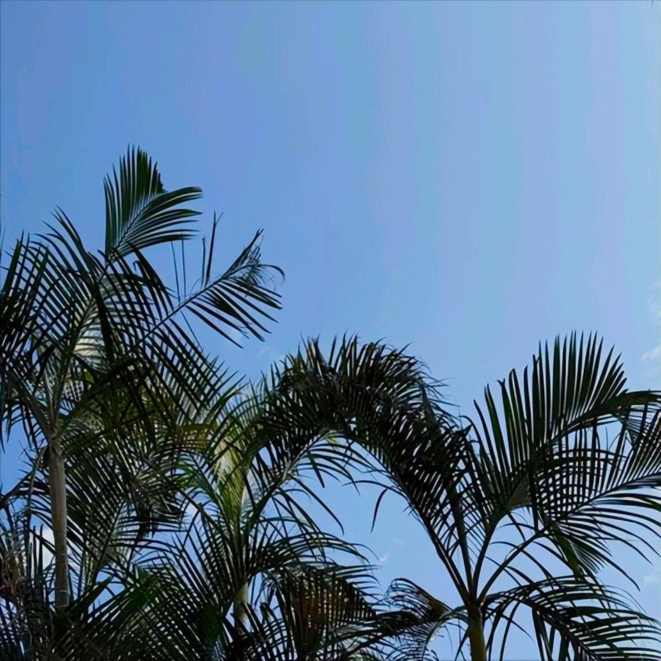 鸡西江丰源矿业公司发生煤矿透水事故5人被围困   期待72小时黄金救援期创造奇迹