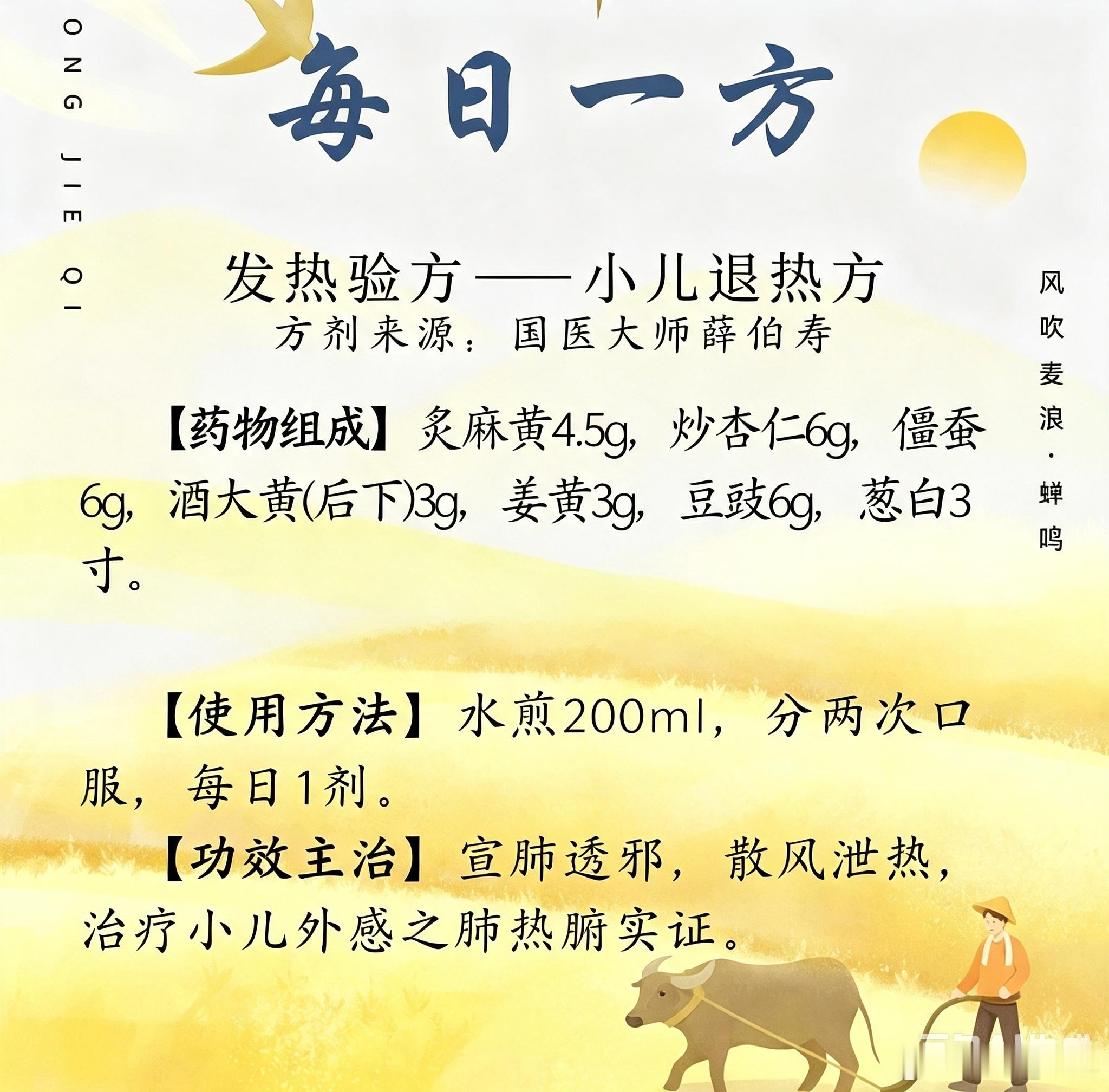 小儿外感肺热腑实证退热方（内服方药+配套儿推+外用贴敷全套方案）一、方药解析组方