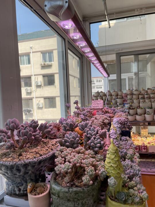 魔光的灯嘎嘎好用，实拍不刺眼上色快。