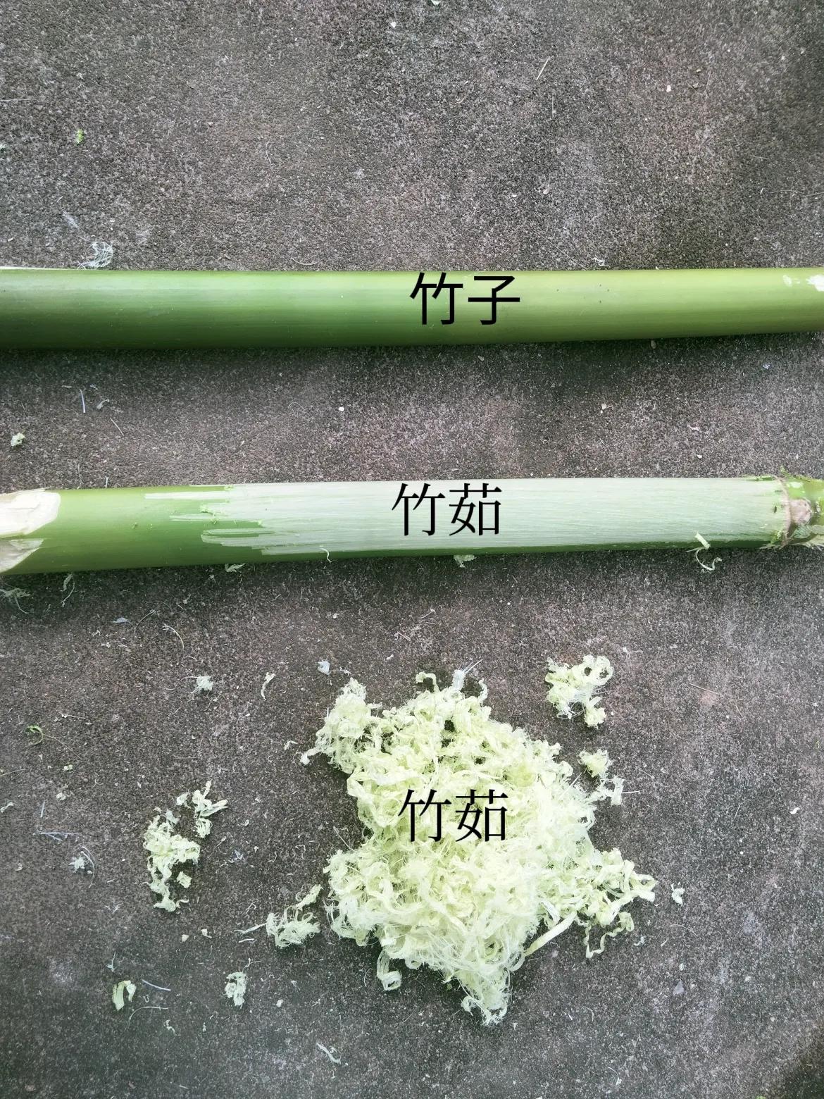 竹茹，刮掉竹子青皮，再用刀刮竹子，刮出来的竹丝，就是中草药之一的竹茹
竹菇可以当