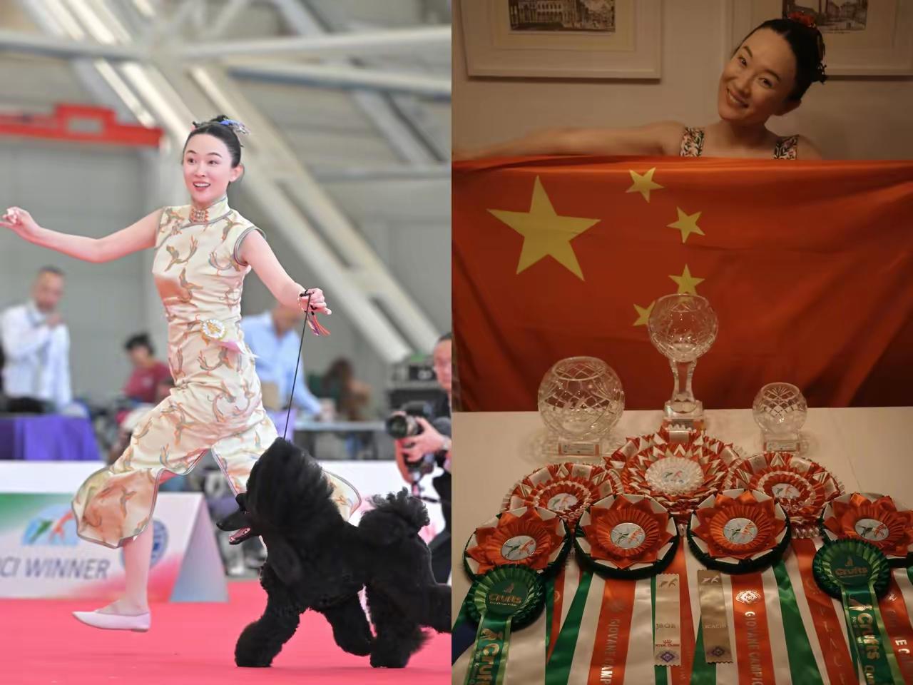 霍思燕的狗狗又又又获奖了。

不懂就问，这些奖含金量高吗？
