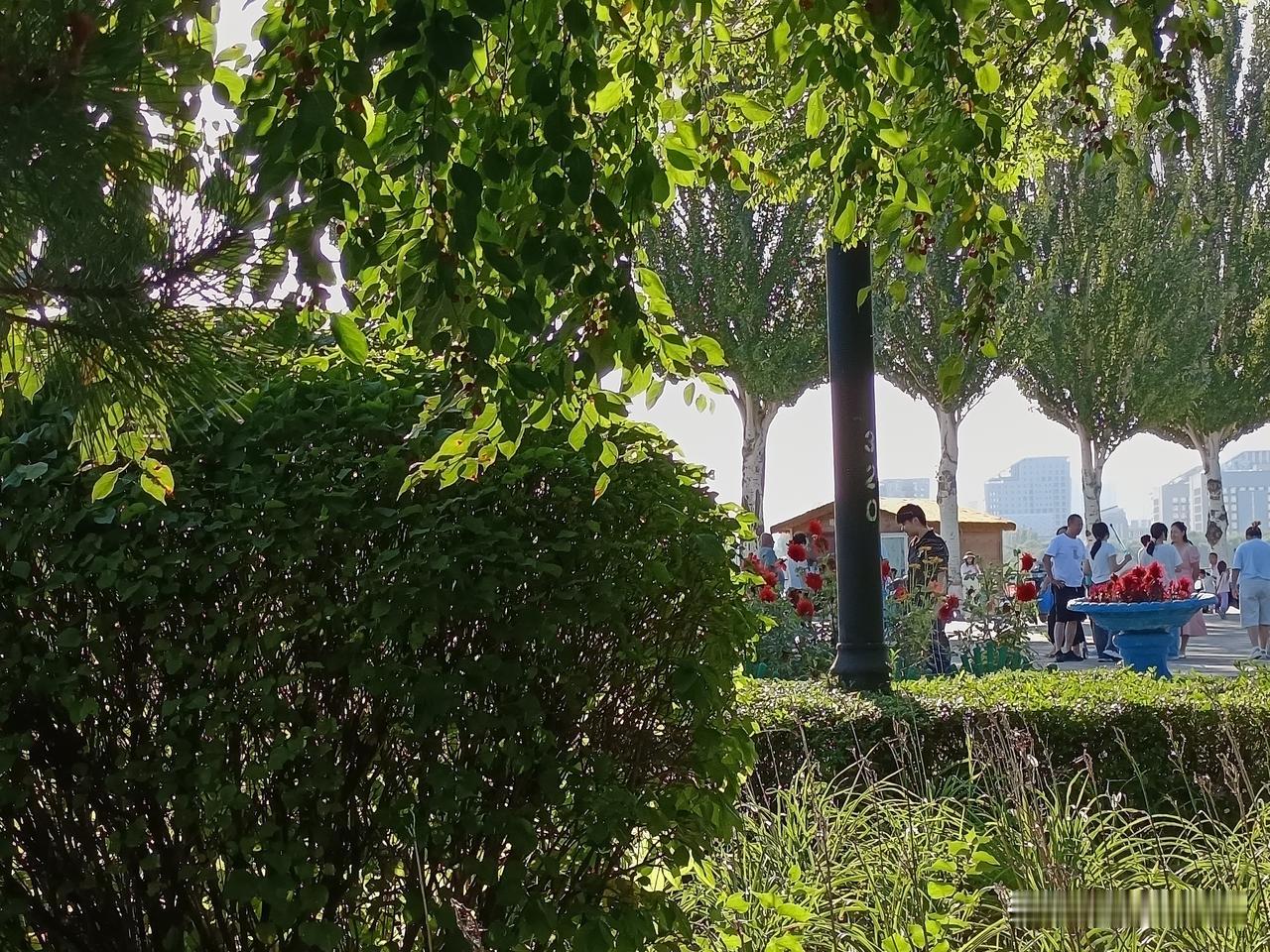 @豆包槐树结籽像豆荚，按照这个逻辑出个谜语吧！ 

按照“槐树结籽像豆荚”的逻辑