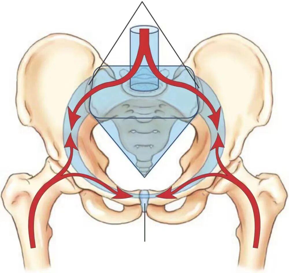 尾闾，就是你尾巴骨那块儿。别小看它，内家拳的真功夫，全藏在这儿。

你见过那种人