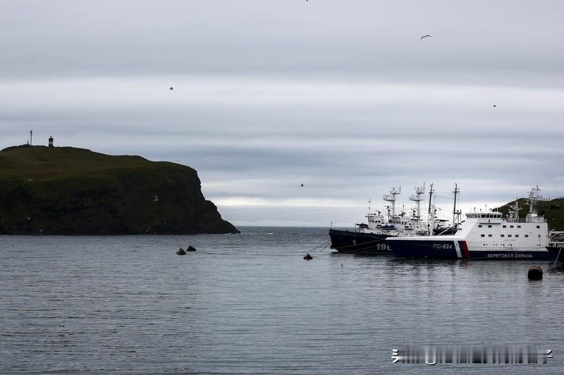 日媒：俄军将在南千岛群岛实弹演习 日媒报道，俄军将从明年元旦起在南千岛群岛举行为