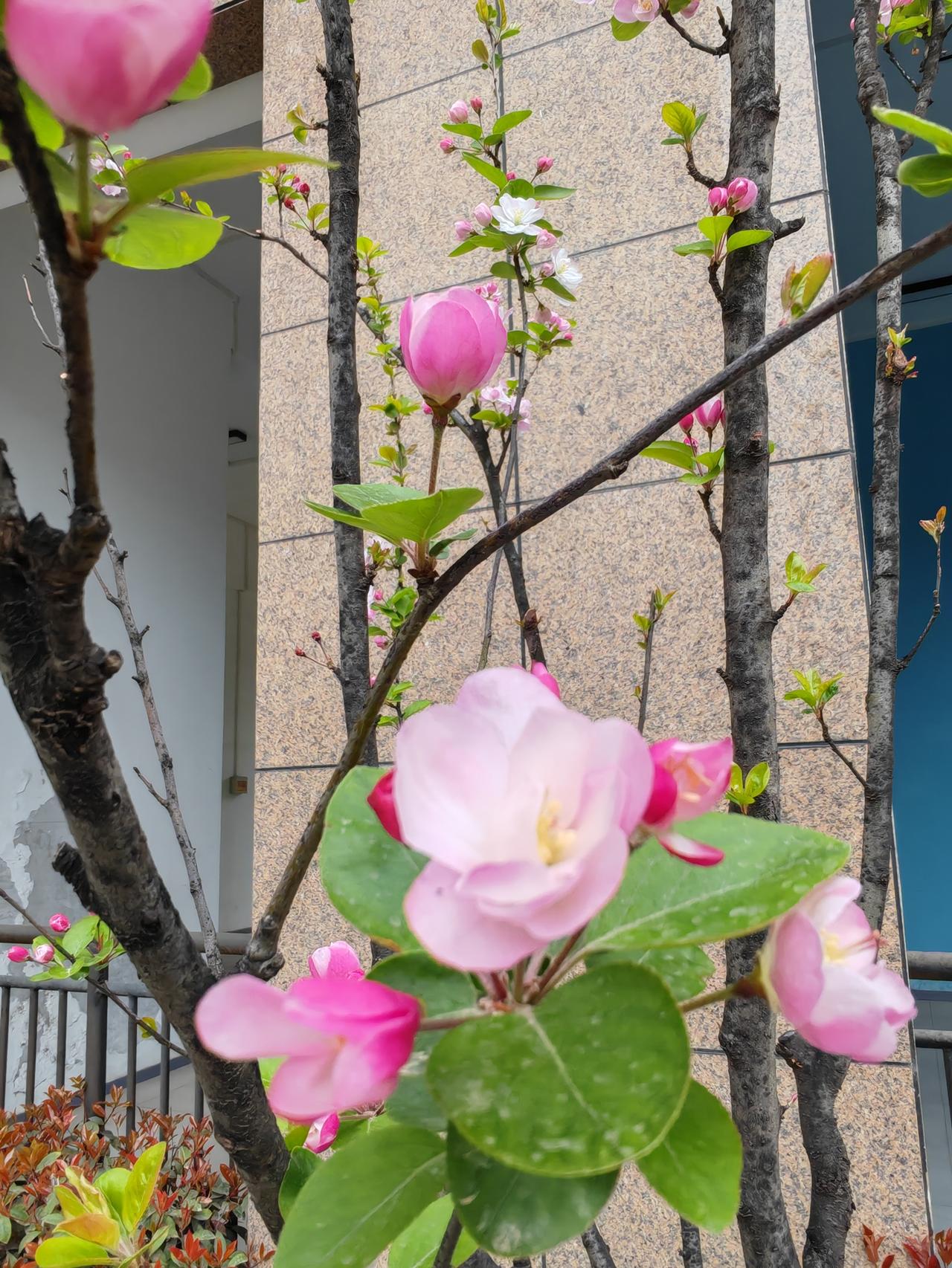 所有的家长都希望望子成龙，望女成凤。
病房里面的大姐告诉我，她的姑娘不优秀，就在