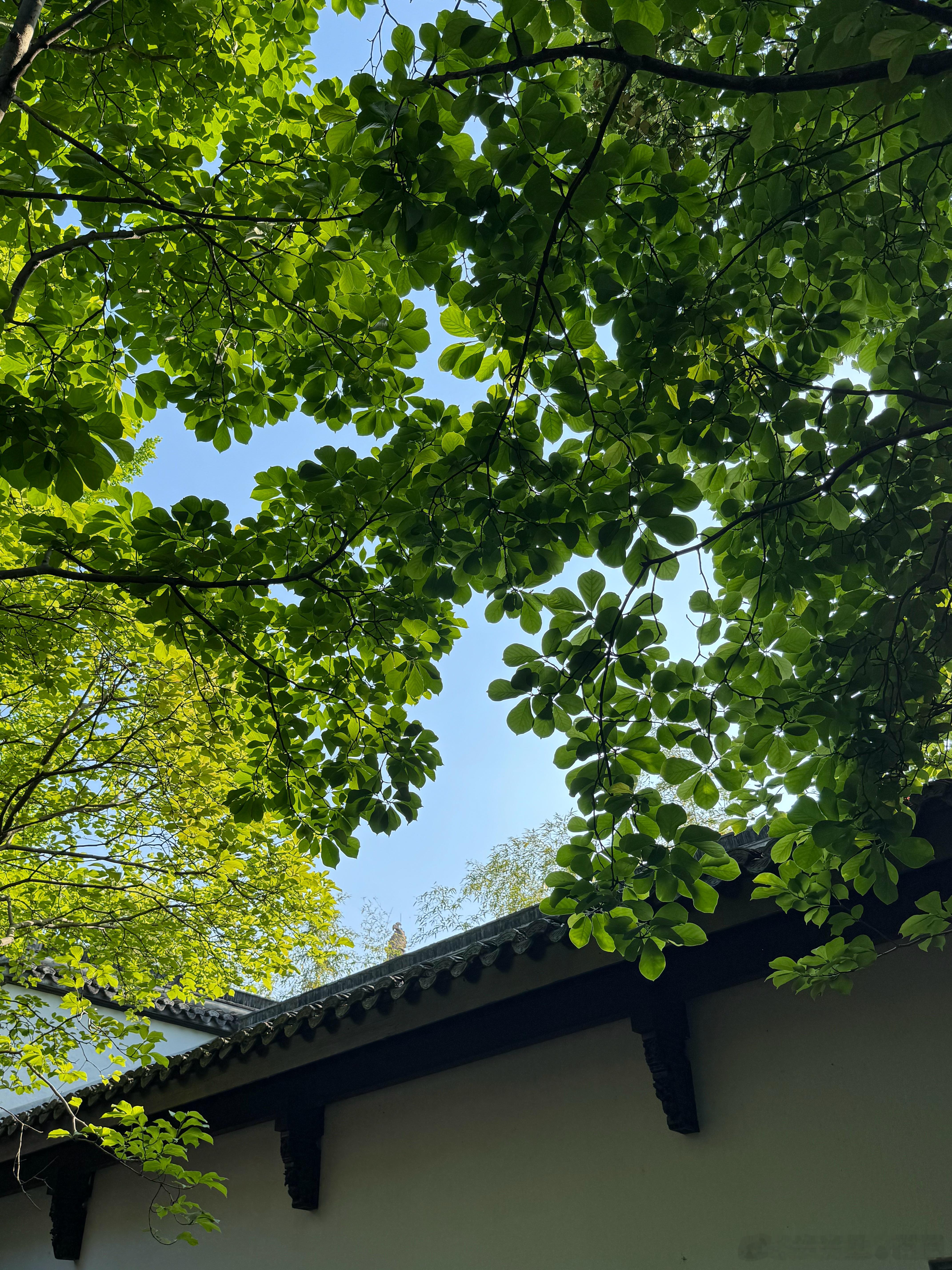 经常看到文章说一个温暖的家要少用反问句式昨天和一个博物馆保安的对话让我实打实感受