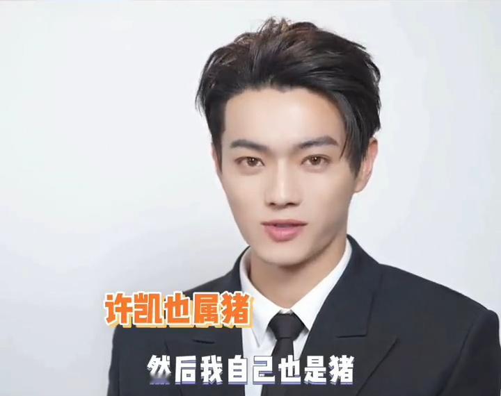 #许凯什么时候接受的猪塑# 许凯真是非常有梗，其实他真的是猪塑🐷自己第一人， 