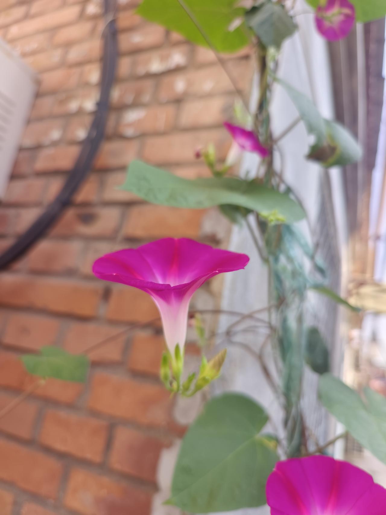 忘掉一个人其实挺难的，特别是入了心动了情的人。

有时候不是放不下这个人，而是习