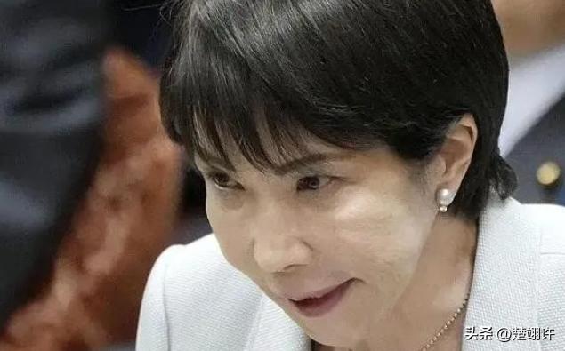 日本不怕中国有导弹，也不怕中国的核武器，甚至不怕中国的稀土制裁，他们害怕就是派往