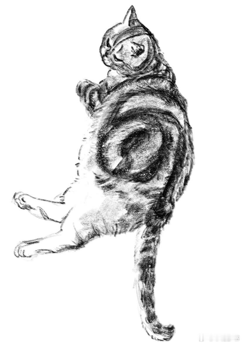 一天画一只猫的第三天 