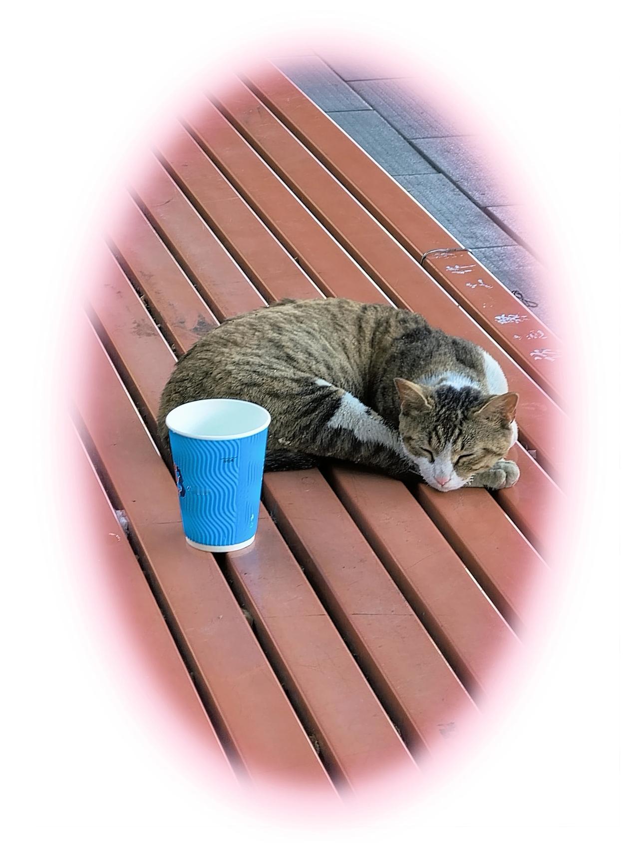 我们没办法改变世界，
很多时候甚至也没法改变别人，
也许只能尝试着一次改变一点。